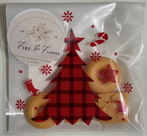 Fondants Noël Tarte tatin