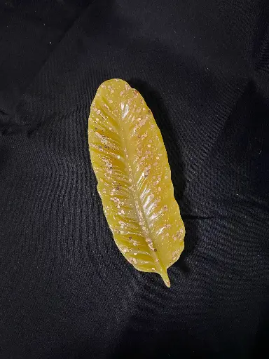 Vide poche plume dorée à paillettes