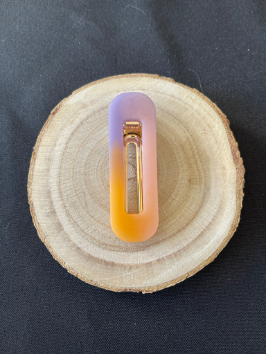 Barrette tricolore 